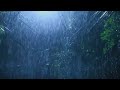 Stürmische Nacht im gemütlichen Schlafzimmer - Regengeräusche vor dem Fenster im nebligen Wald