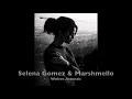 Marshmello & Selena Gomez - Wolves (Acoustic Version)