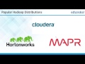 Cloudera VS Apache VS MapR VS Hortonworks: Which Hadoop Distribution To Use? | Big Data Tutorial