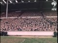 Rugby League Final (1964)