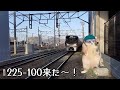 【猫ミーム】273系の試運転を撮りに行った日の話【鉄道旅】