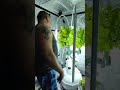 Tower Garden Maintenance Pruning