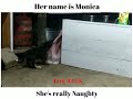 Her name is Monica she's really Naughty..... .