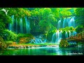 Gentle music that calms the nervous system 🌿 healing music for the heart