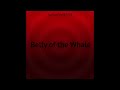 SolveForX314 - Belly of the Whale