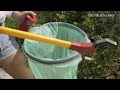 Helping Singapore recycle better | Our Better Nature EP 4