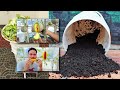 How to Make Compost at Home | Kitchen Waste Compost Update