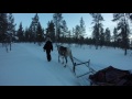 Kakslauttanen Arctic Resort Hotel 2017 Reindeer safari at kakkslauttanen arctic resort