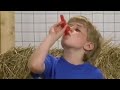 Kazoo over 1 million times